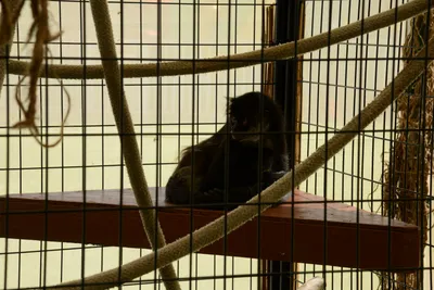 DSC_2316 (Large).JPG